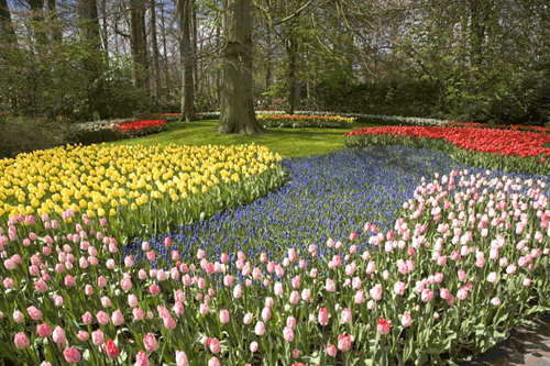 Parco di Keukenhof